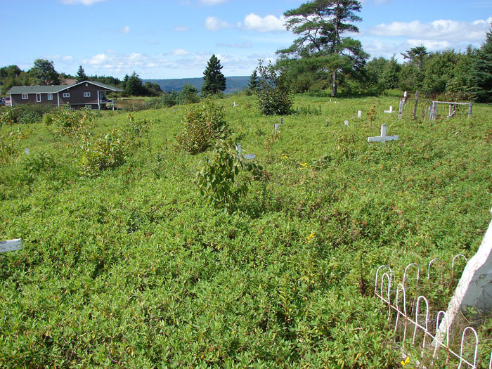 Mi'kmaq Cemetery View #1