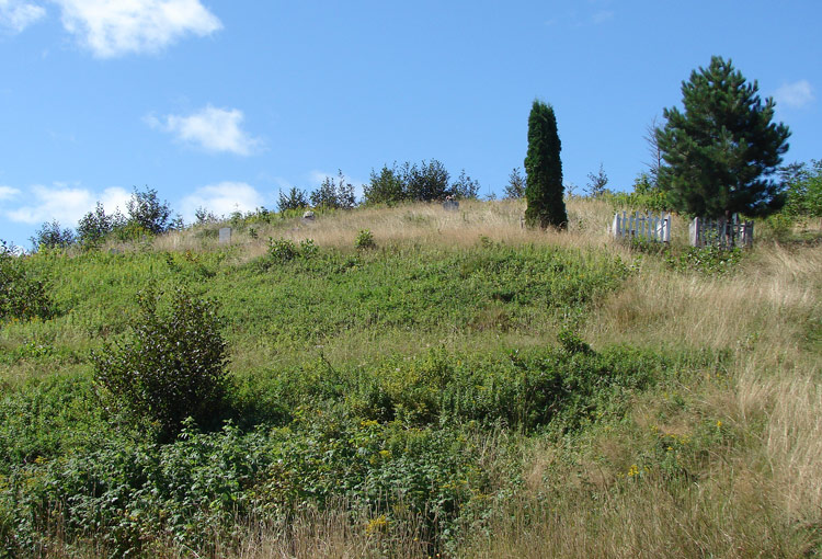 Mi'kmaq Cemetery View #2