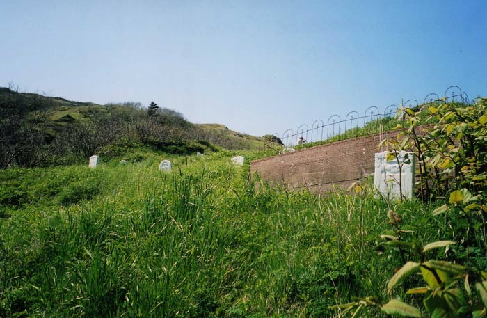 Parson's Harbour New Cemetery, Looking Up