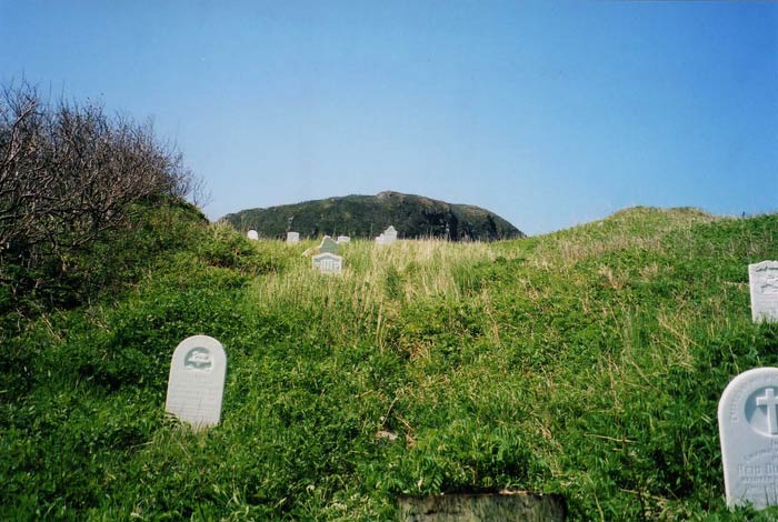 Parson's Harbour New Cemetery, Looking Up