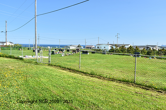 View of Cemetery