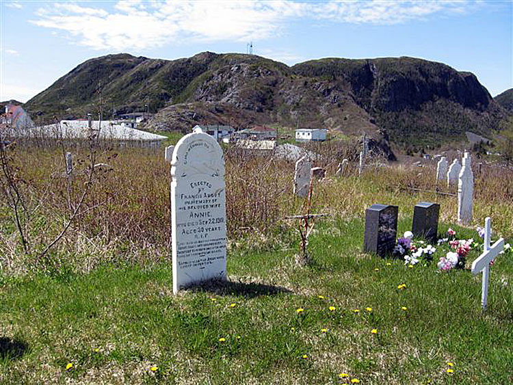 John Guy Settlement Cemetery - Cupids, Newfoundland