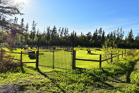 View of Cemetery