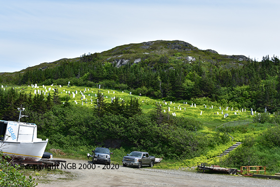 Cemetery