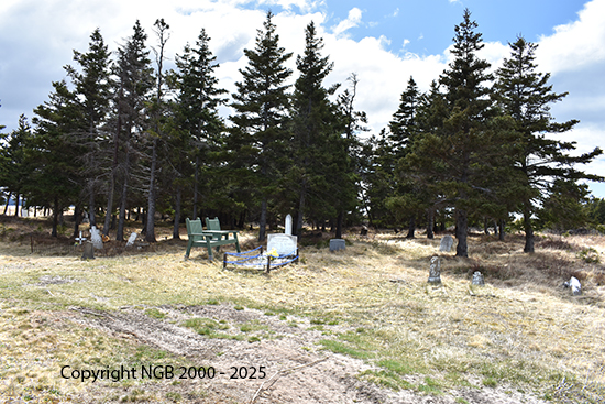 View of Cemetery Area