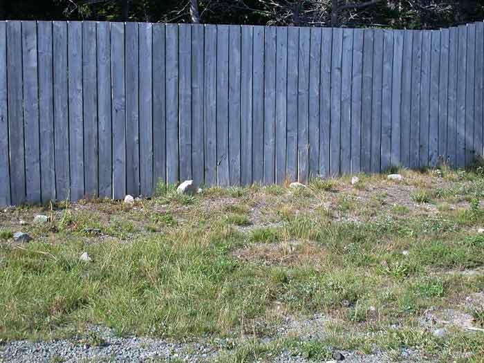 Villa Nova Orphanage Gravesite