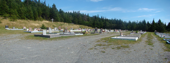 Overall View of Cemetery