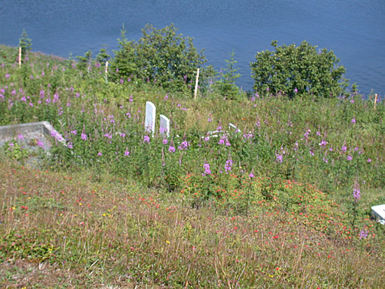 View Looking into Oldest Part of Cemetery