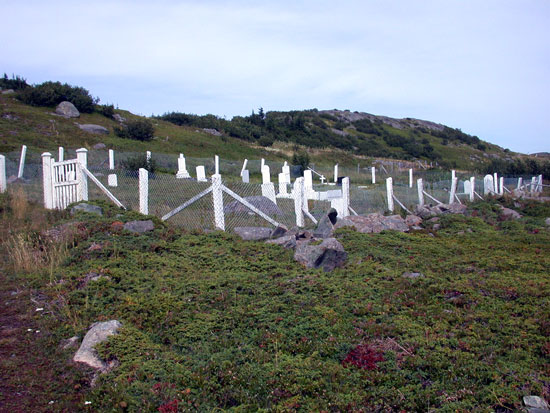 Overall view of Cemetery