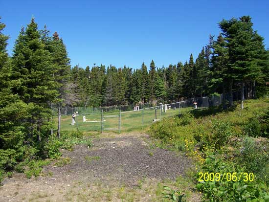 View of Cemetery