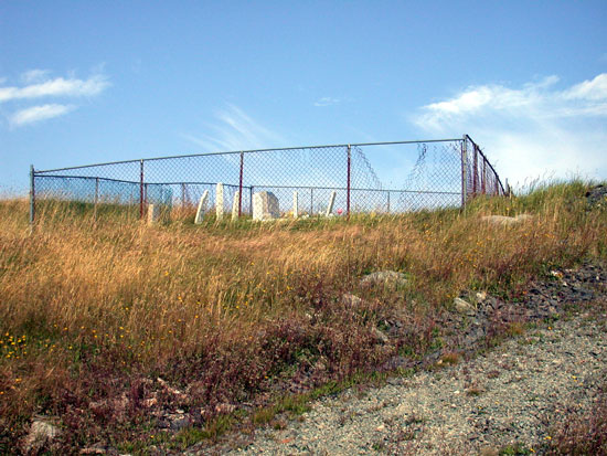 Overall View of Cemetery