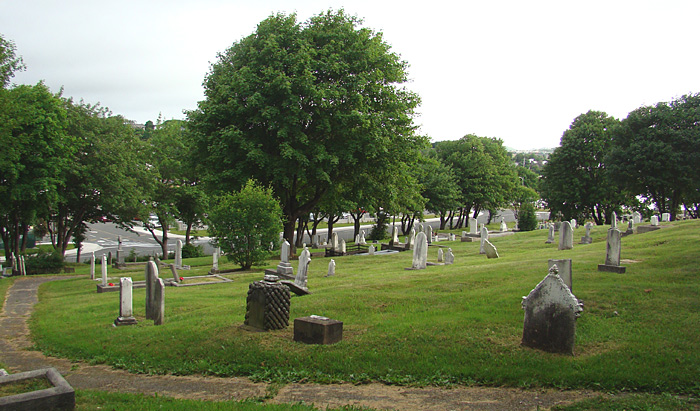 Forest Road Anglican Cemetery - Section DM