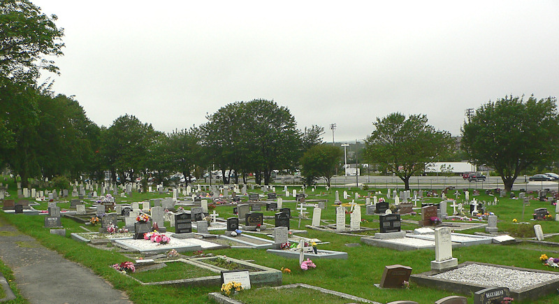 Forest Road Anglican Cemetery - Section DP