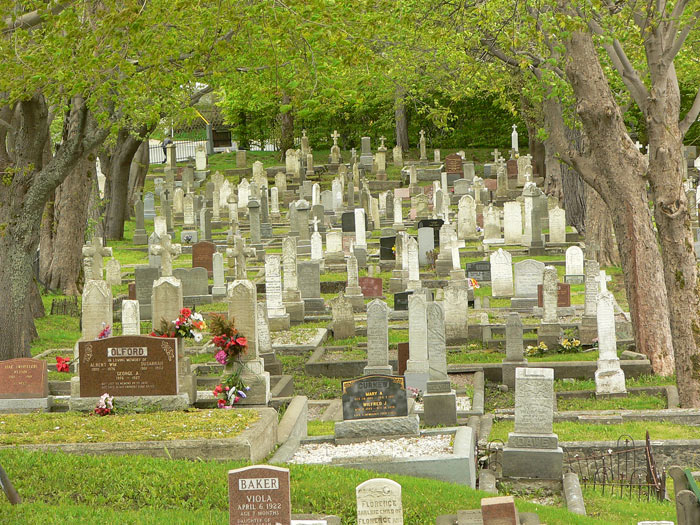 Forest Road Anglican Cemetery - Section G