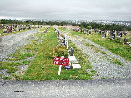 View of Children's Section 