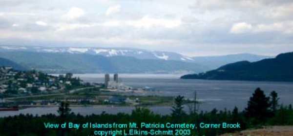 View from Mt. Patricia Cemetery