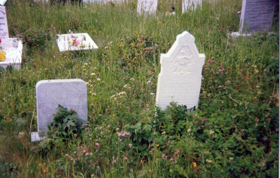 View of Nipper's Harbour United Cemetery