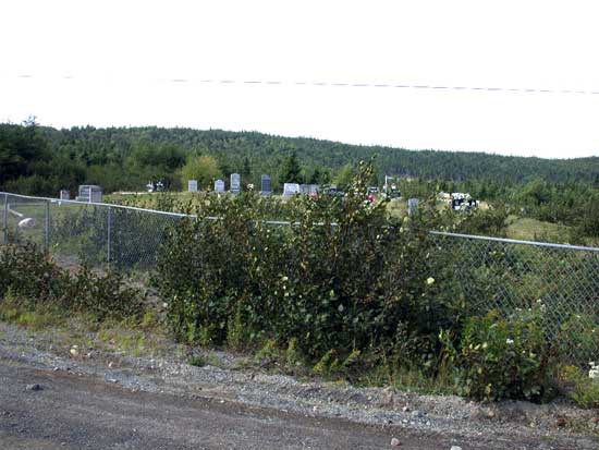 Overall view of Queen's Cove Cemetery