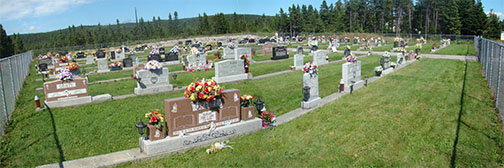 Panoramic View of Cemetery