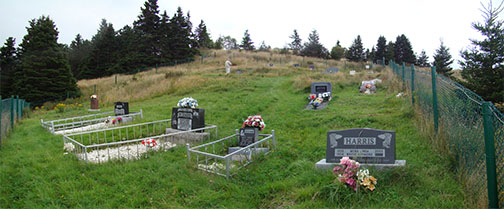 Panorama of Cemetery