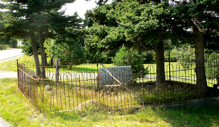 S Family Plot - Bareneed