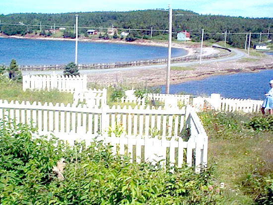 Trinity Bay Spread Eagle Cemetery