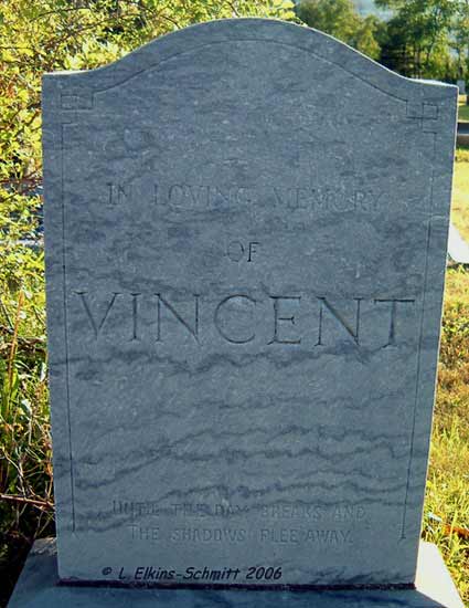 Vincent Plot