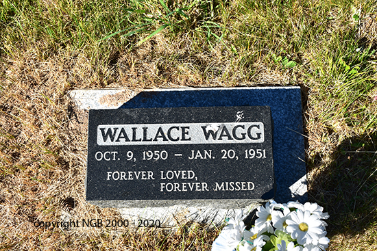 Wallace Wagg