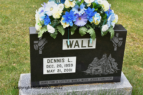 Dennis L. Wall