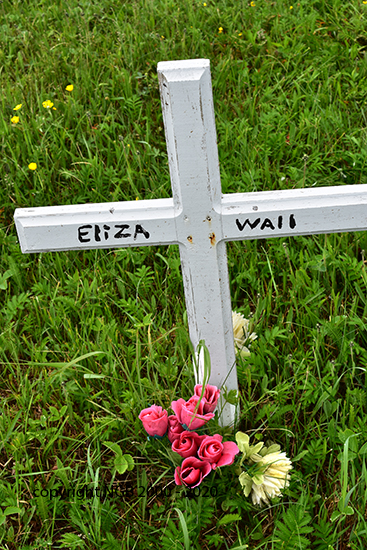 Eliza Wall