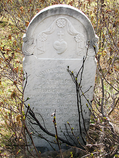 CAtherine & Matthew Walsh