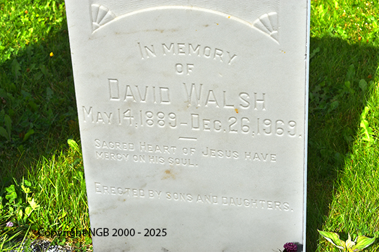 David Walsh