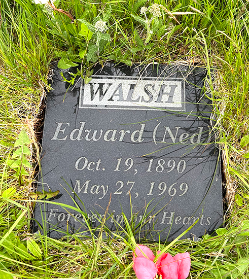 Edward Walsh