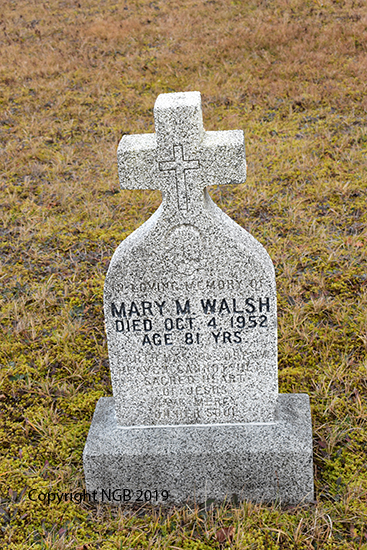 Mary Ann Walsh