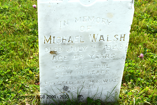 Michael Walsh