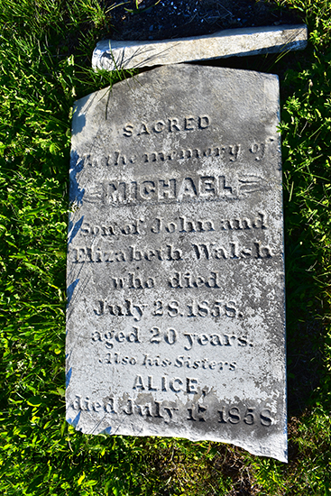 Michael & Alice Walsh