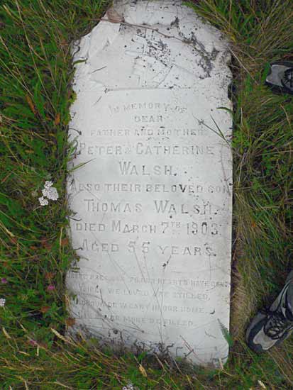 Peter and Thomas Walsh