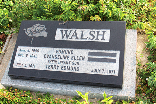 Terry Edmund Walsh