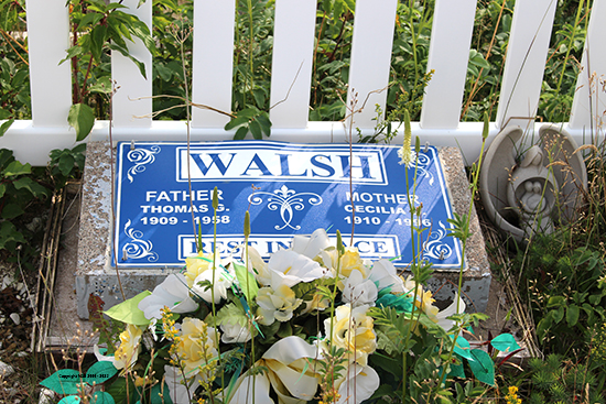 Thomas G. & Cecilia G. Walsh