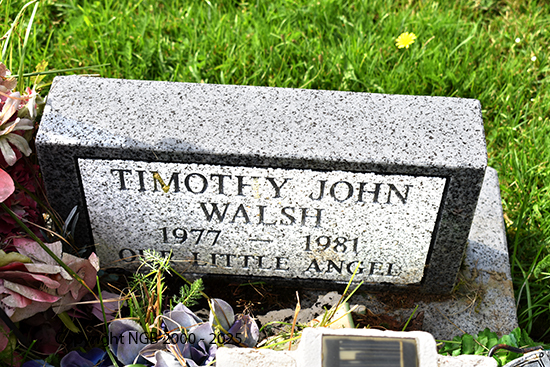 Timothy John Walsh