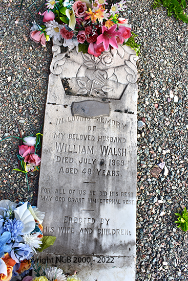 William Walsh