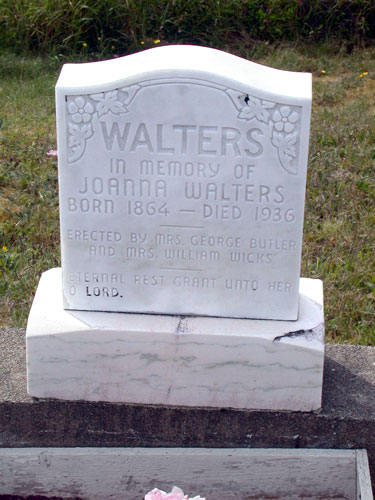 Joanna Walters