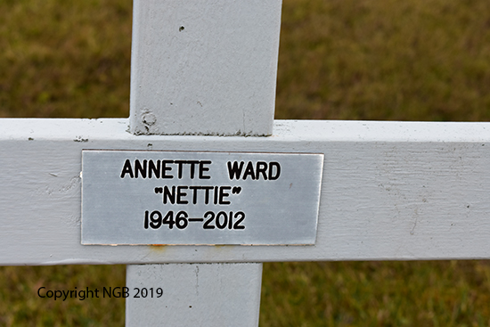 ANNETTE WARD