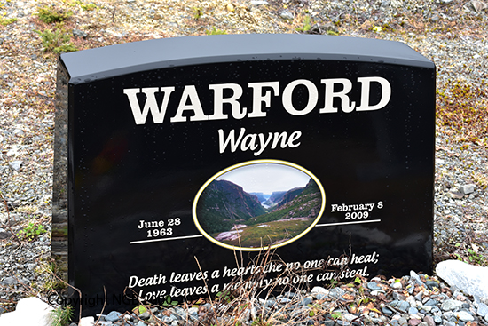 Wayne Warford