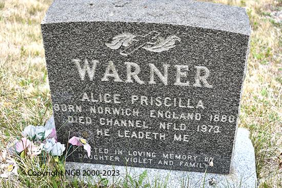 Alice Priscilla Warner