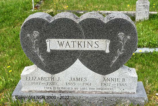 Elizabeth J., James & Annie B. Watkins