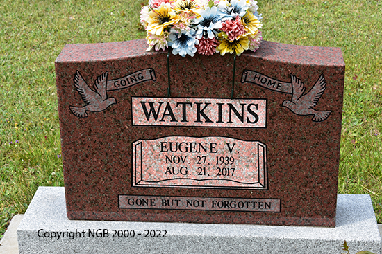 Eugene V. Watkins
