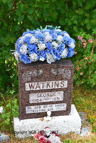 George Watkins