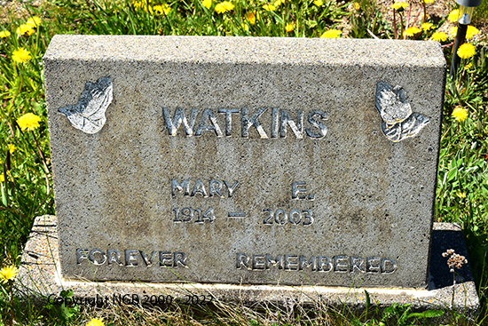 Mary E. Watkins
