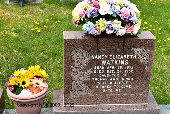 Nancy Elizabeth Watkins